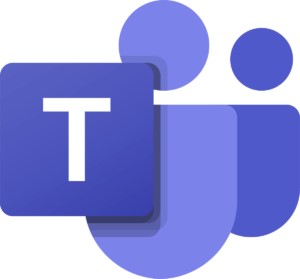 Microsoft Teams - 1 dag